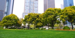 green-city
