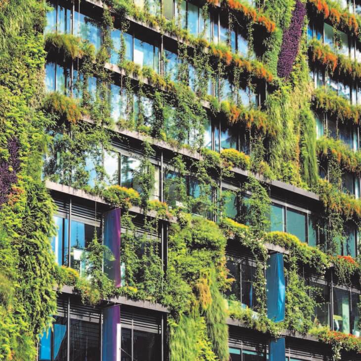 Blue Green Solutions square-sm