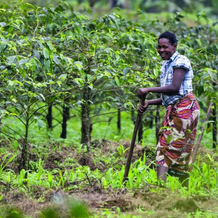 Webp.net-compress-image