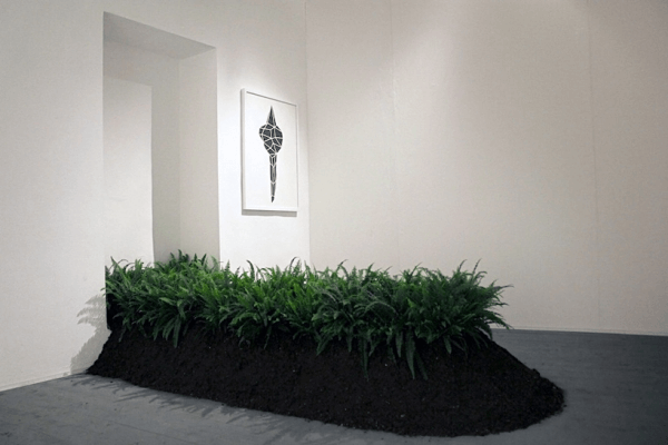 Installation made of ferns showing how they can remove metal pollutants from soil.