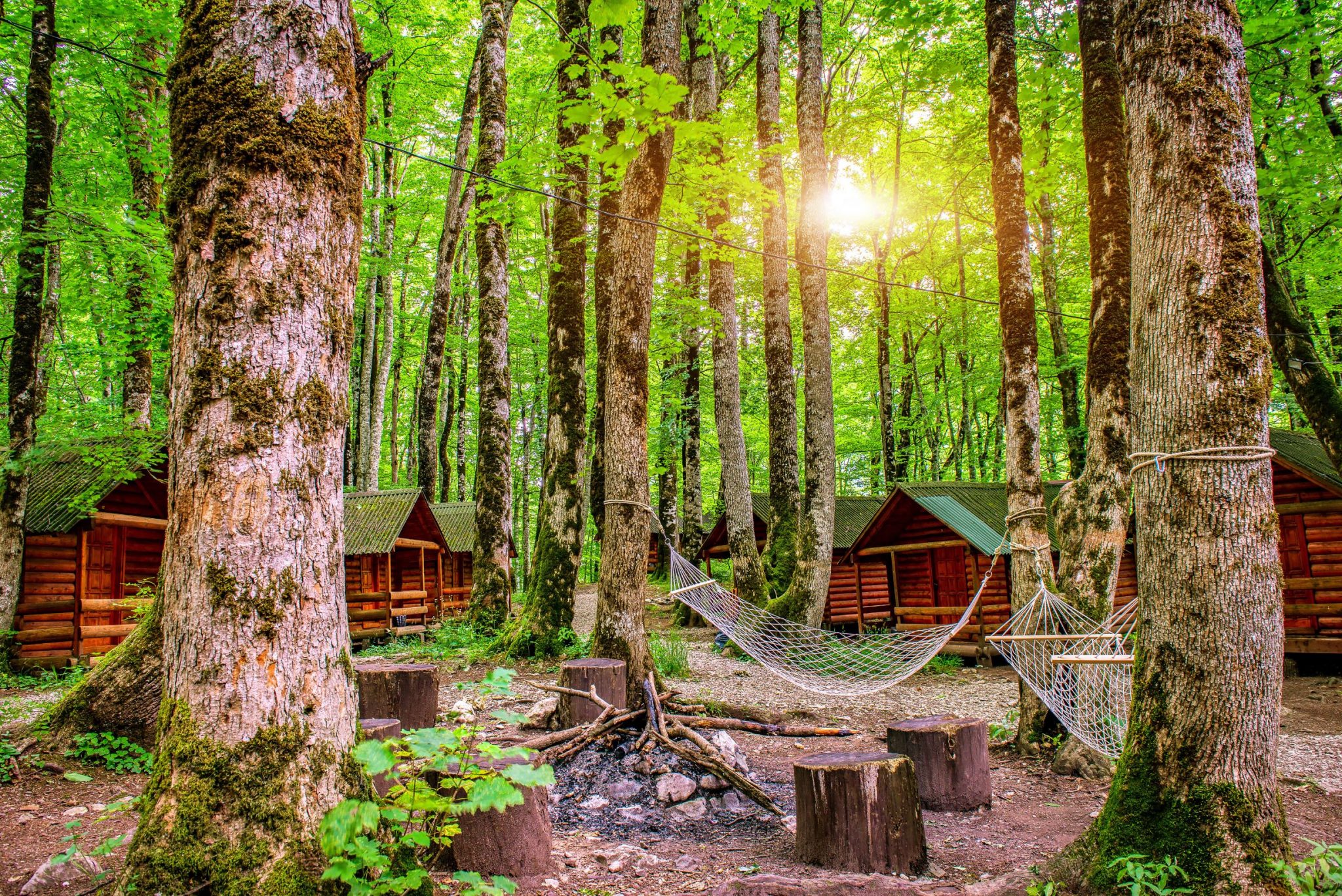 Biogradska Gora National Park, Montenegro