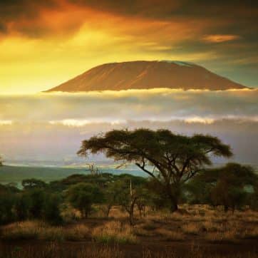 Mount,Kilimanjaro,And,Clouds,Line,At,Sunset,,View,From,Savanna