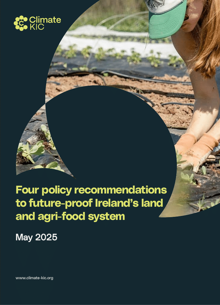 Four policy recommendations to future-proof Ireland’s land and agri-food system