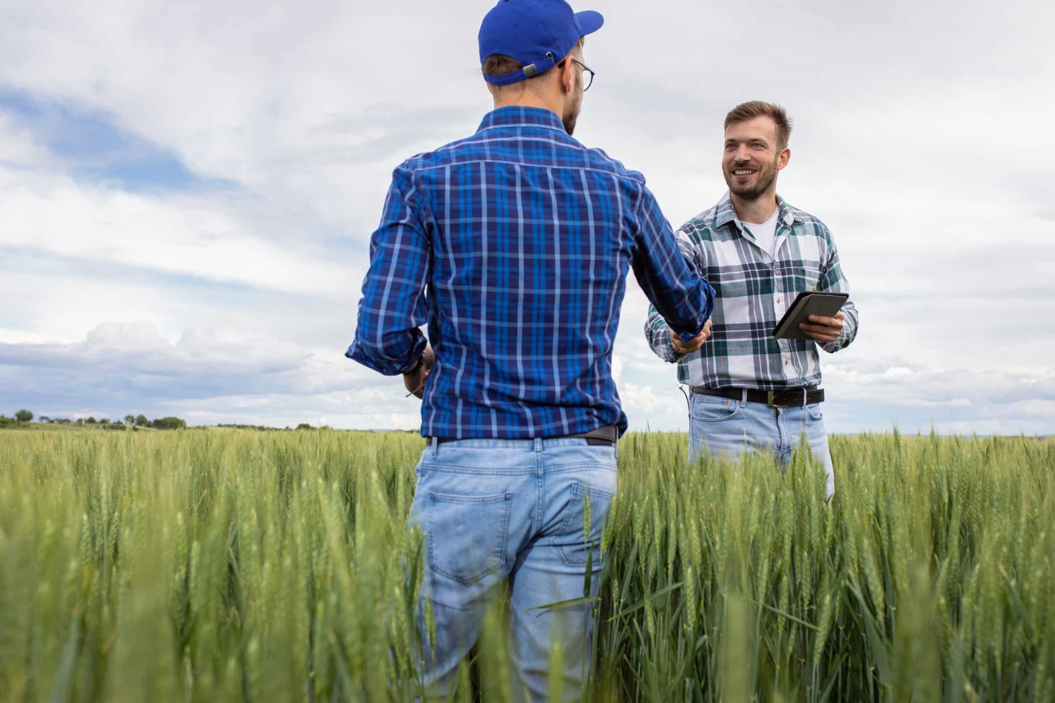 Two farmers are shaking hands while standing in a wheat field