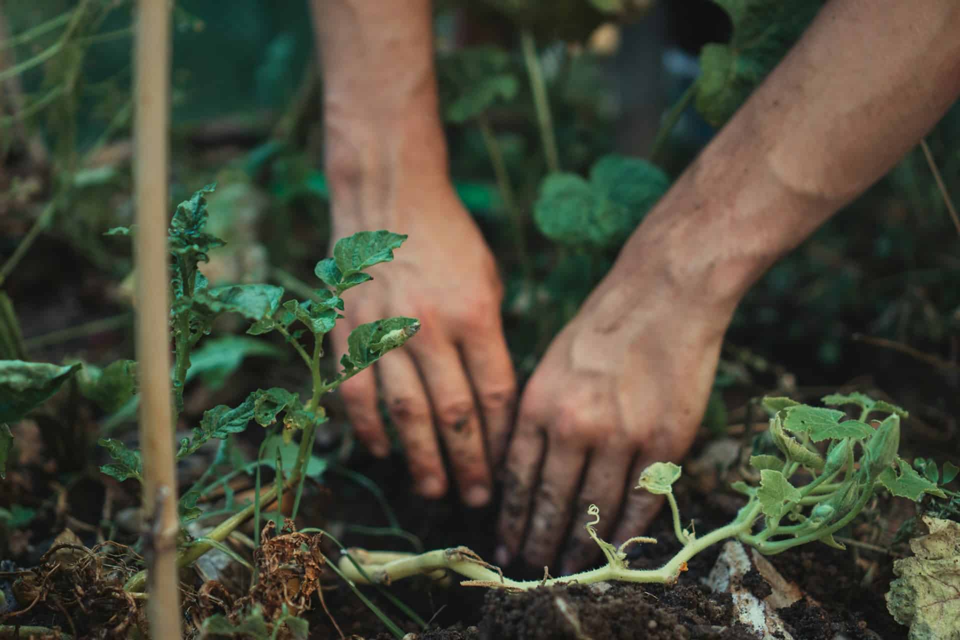 United by soil: turning soil knowledge into climate action