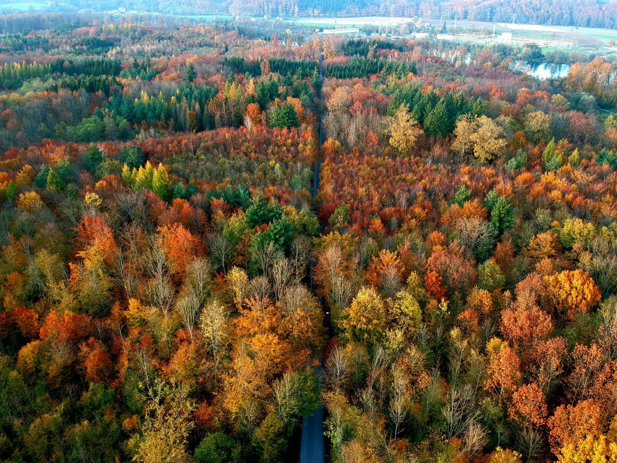 Why every business must buy into biodiversity 