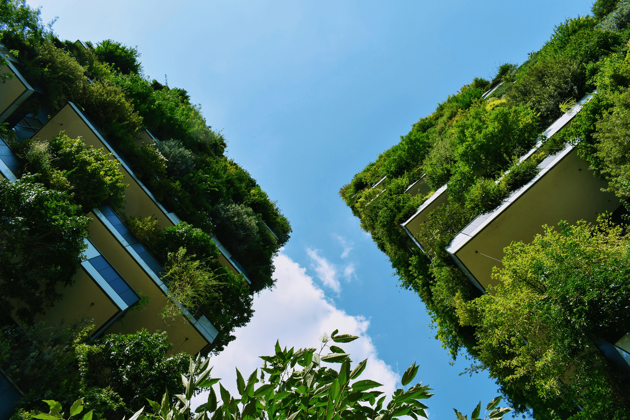 Low-angle shot of buildings with plants